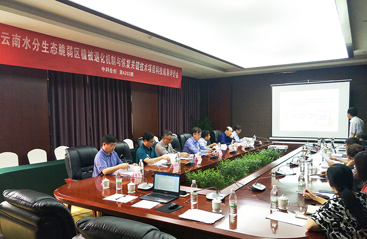 云南水分生态脆弱区植被退化机制与恢复关键技术 anli.jpg